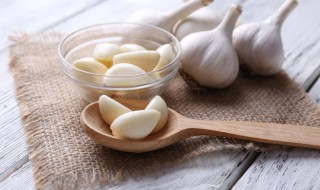 八月份能种大蒜吗 八月份能不能种大蒜