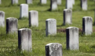 死得其所的所字是啥意思 死得其所释义