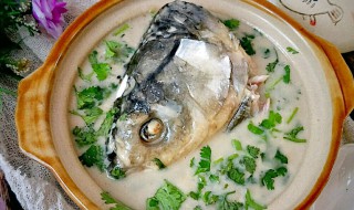 鱼头汤的家常做法 鱼头汤的家常做法是什么