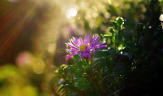 如何做人做事人生感悟 如何做人做事有哪些人生感悟