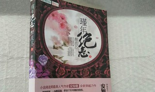 瑾年绝恋醉流苏简介 瑾年绝恋醉流苏详细内容简介