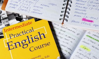 knight什么意思 knight啥意思