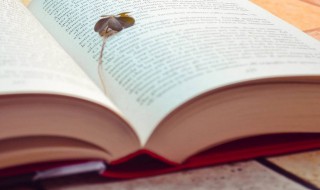 脑袋的拼音 脑袋的拼音及解释