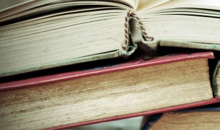 嘶哑的拼音 嘶哑的拼音及解释