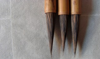 毛笔中的珍品紫毫笔笔头的制作原料出自哪种动物 紫毫笔笔头的制作原料出自哪种动物