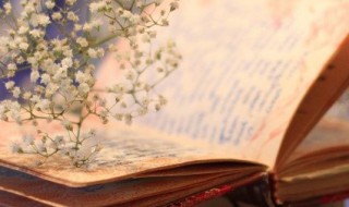 走马上任是什么意思 走马上任的含义