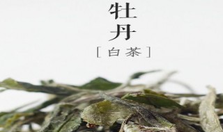 白牡丹白茶散茶储存方法 白牡丹白茶散茶储存方法是什么