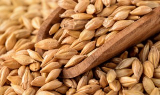 麦子古代储存方法 麦子怎么储存