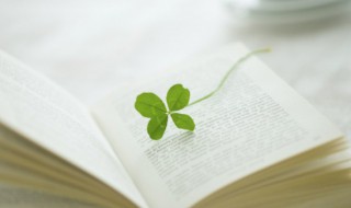 心灵至福是什么意思 心灵至福的意思