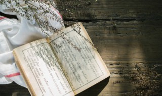 闲花淡淡春是什么意思 闲花淡淡春指什么