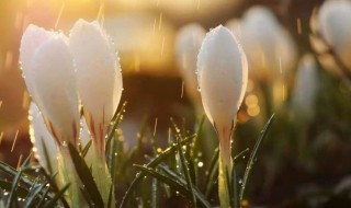 一切都会好起来是什么意思 一切都会好起来的意思