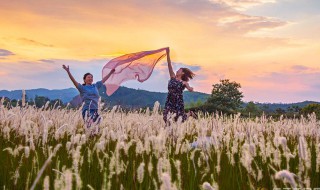 我心飞扬是什么意思 我心飞扬具体是什么意思