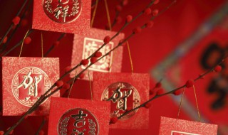 年的拼音 年的拼音是什么