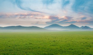 绿茵茵的拼音 绿茵茵的读音和解释