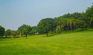 坪的拼音 坪的读音