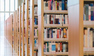 狗猫鼠好词好句 狗猫鼠好词好句摘抄