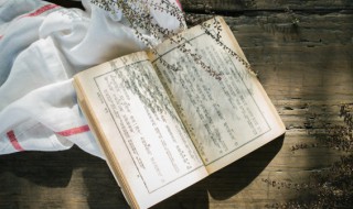 择高处立就平处坐向宽处行这句话出自哪里又是什么意思 择高处立就平处坐向宽处行意思