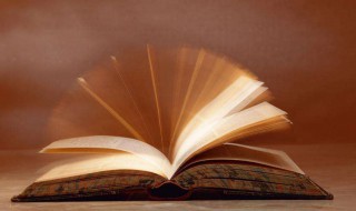 大堰河我的保姆主要内容 大堰河我的保姆主要内容概括