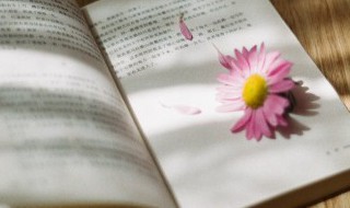 lost怎么读 lost如何读