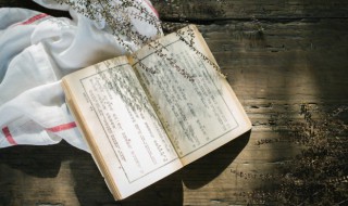 怡红楼寻广宣不遇留题的翻红是什么意思 怡红楼寻广宣不遇留题的意思