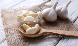 大蒜和鸡蛋的做法大全 大蒜和鸡蛋的烹饪方法