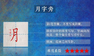 月字的由来 月字的由来
