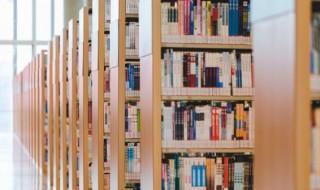 王田制度的名词解释 王田制度的名词解释是什么