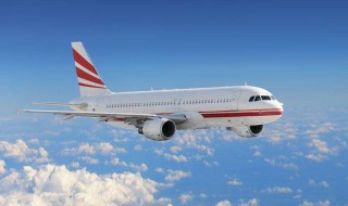 真空包装的豚肉能不能带上飞机 这里有答案