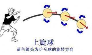 乒乓球如何接逆旋转 接逆旋球的技巧