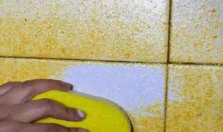 盐酸可以去油污吗? 去油污有哪些方法