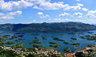 鄂是哪个省的车牌 你都了解多少