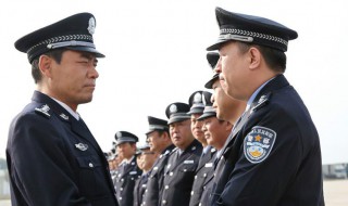 高野是什么电视剧主角 电视剧主要讲述什么故事