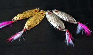 路亚鲶鱼用什么假饵 鲶鱼怎么钓