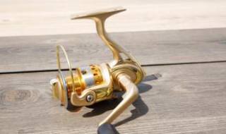 路亚竿可不可以当海竿使? 路亚竿是什么