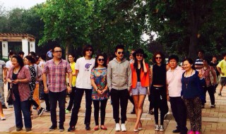 宋杨是哪个电视剧 张总 电视剧主要讲什么故事