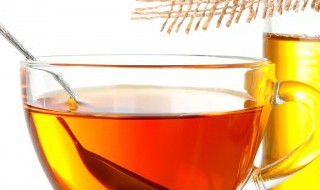 春季怎么找蜜蜂 学会这三种方法轻松找到蜂蜜