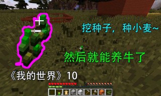我的世界怎么种小麦 老玩家经验总结