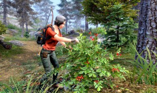 板娘小薇明日之后几区 了解一下