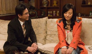 乔省长和乔焰是什么电视剧 是谁饰演的