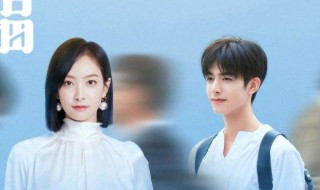 下一站是幸福在多少集男女主和好 男女主终于和好修成正果了