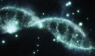 人的生命是怎么形成的 生命起源和形成