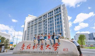 东北林业大学考研难吗 来看看具体的