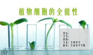 生物科学专业是什么院系 生物科学专业主要学什么