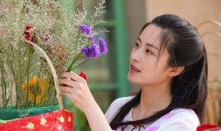 看电视剧仨妈俩爸大结局 全剧主要讲述的什么故事