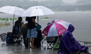 下小雨适合钓鱼吗 你知道吗