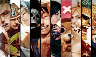 海贼王娜美变小是第几集 娜美的角色定位原来是这样