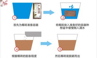 椰砖和土壤配合的比例 你知道吗？