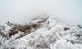 瑞雪兆丰年什么意思 大家可以了解一下