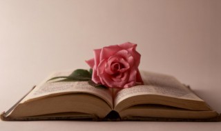 非我倾城王爷要休妃讲的什么 这里有小说的简单介绍快来了解