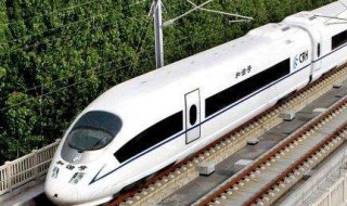 高铁上可以带鱼吗 这方面的具体规定有哪些呢